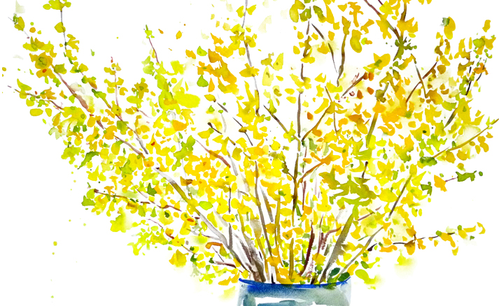 Forsythie