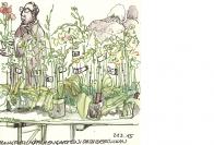 Palmengarten Orchideenschau