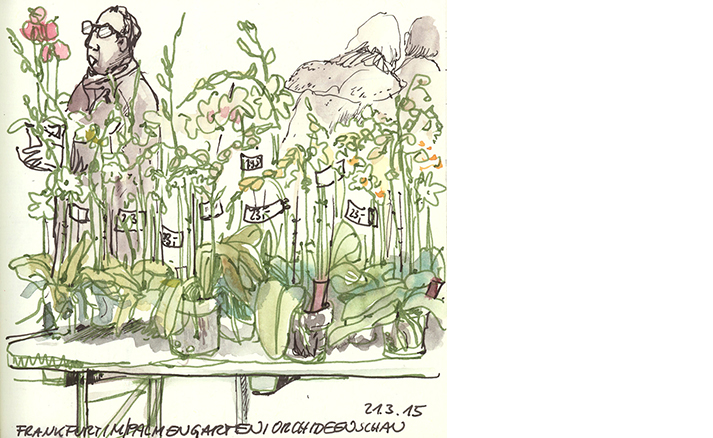 Palmengarten Orchideenschau