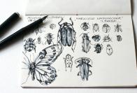 Museum Wiesbaden | 6