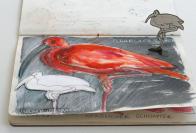 Museum Wiesbaden | 5