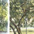 Pleinair-Sketching | Aquarell und Linie